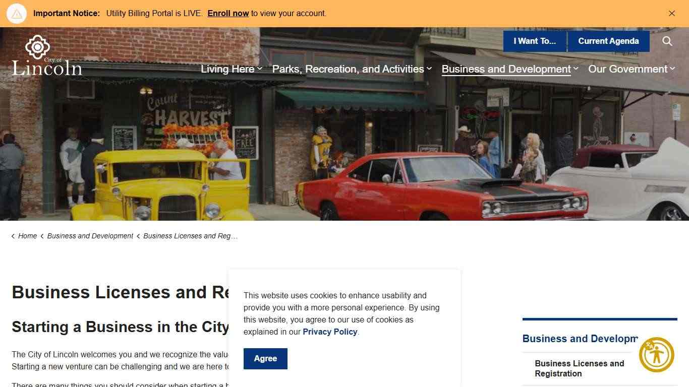 Business Licenses and Registration | City of Lincoln